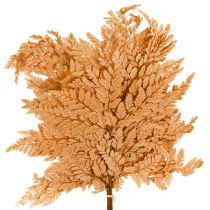 catégorie Branches, tiges et feuillages