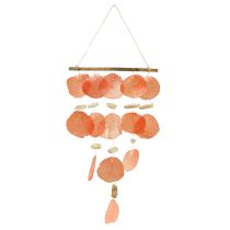 catégorie Déco coquillages