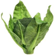 catégorie Décoration végétale