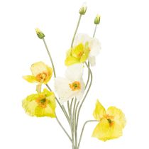 catégorie Fleurs de jardin et des champs