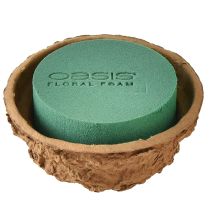 catégorie Formes rondes en mousse florale