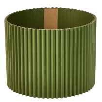 catégorie Emballage pour fleurs