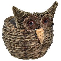 catégorie Figurines de hibou et hérisson