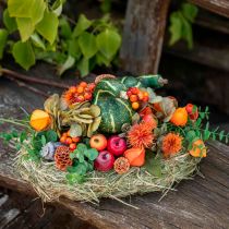 Fruits et légumes décoratifs