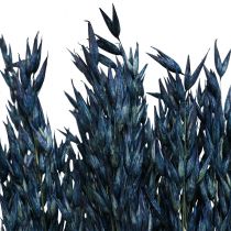 Fleurs séchées, Avoine Céréales séchées Déco Bleu 68cm 230g