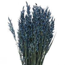 Fleurs séchées, Avoine Céréales séchées Déco Bleu 68cm 230g