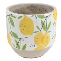 Jardinière en céramique citron pot de fleur décoratif été H17cm