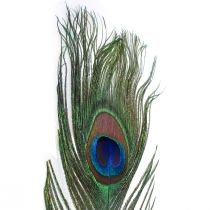 Plumes de paon décoratives pour confection de plumes d&#39;oiseaux H78cm 10 pièces