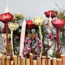 Article Rosace Compacta rouge 40 pcs