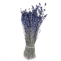 Lavande séchée Bouquet de fleurs séchées Bleu 25cm 75g