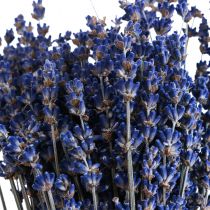 Article Lavande séchée Bouquet de fleurs séchées Bleu 25cm 75g