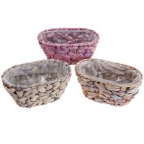 Article Panier à plantes en jonc de mer, jardinière en jacinthe d&#39;eau ovale 20,5 cm 3 pcs