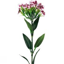 Article Oeillet barbu fleur artificielle oeillet blanc violet 52cm