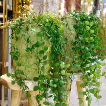 Article Plante suspendue en pot Plante verte artificielle Panier suspendu