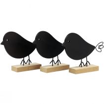 Article Oiseaux décoratifs oiseaux en bois noirs décoration en bois printemps 13,5 cm 6 pcs