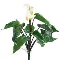 Article Calla Lily Kalla Fleurs Artificielles Fleurs Exotiques Blanches 34cm
