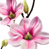 Article Fleur artificielle branche de magnolia magnolia artificielle rose 59cm