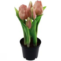 Article Tulipes artificielles en pot Tulipes Fleurs artificielles Pêche 22cm