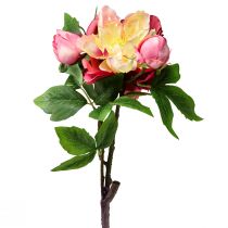 Article Pivoines Fleurs en Soie Fleurs Artificielles Rose Rose 68cm