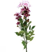 Article Fleurs artificielles Asters artificiels Fleurs en soie Violet 80 cm