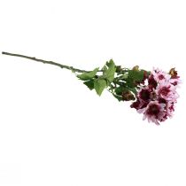 Article Fleurs artificielles Asters artificiels Fleurs en soie Violet 80 cm
