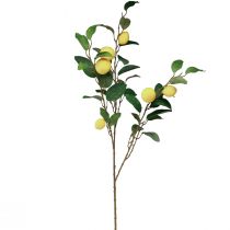 Article Branche de citron décorative avec 6 citrons artificiels 100cm