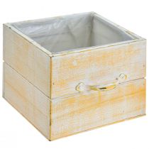 Article Tiroir à plantes avec poignée bois blanc orange 12/15cm lot de 2