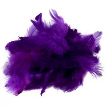 Article Plumes décoratives petites plumes d&#39;oiseaux véritables décoratives violet 5-10cm 10g