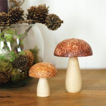 Article Champignons en bois champignons décoratifs décoration de table automne brun naturel 5×6cm 8 pcs