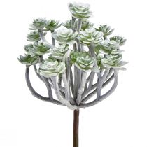 Article Plantes succulentes artificielles Stonecrop Plantes artificielles 16cm 4 pcs