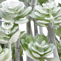 Article Plantes succulentes artificielles Stonecrop Plantes artificielles 16cm 4 pcs