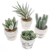 Succulentes artificielles en pot plantes artificielles vertes Ø4cm 12pcs