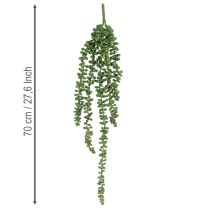 Article Kunstpflanze Guirlande Suspendue Succulente 80 cm Vert