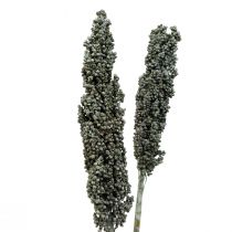 Article Fleurs séchées sorgho millet bleu-vert fleuristerie sèche 72cm 3 pcs