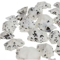 Article Coquillage Déco Coquillages Blanc Noir Petit 1-2.5cm 250g