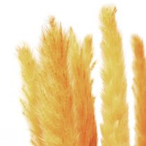 Article Décoration d&#39;herbe de pampa, herbe de pampa séchée herbe de pampa jaune 74cm 10 pièces