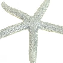 Étoile de mer argentée décoration maritime étoile de mer décoration estivale 7,5 cm 10 pièces