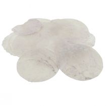 Coquillages de Capiz Disques nacre décoration maritime Ø7cm 600g