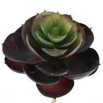 Article Plantes Vertes Artificielles Succulentes Echeveria Ø7cm 12cm 6 pcs
