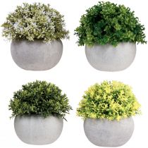 Article Plantes artificielles Buis artificiel 12,5cm×Ø12cm 4pcs