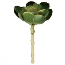 Article Plante artificielle succulente Echeveria artificielle Ø7cm