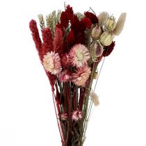 Article Bouquet de fleurs séchées fleurs de paille Phalaris rouge 30cm