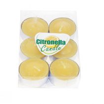 Bougie parfumée bougie citronnelle, bougies chauffe-plat citronnelle Ø3.5cm H1.5cm 6 pièces