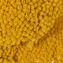 Article Achillea séchée jaune 1 kg, fleurs séchées naturelles