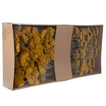 Article Achillea séchée jaune 1 kg, fleurs séchées naturelles