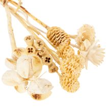 Article Assortiment africain, blanchi, 60 pièces