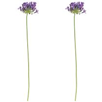 Article Agapanthe fleurs artificielles décoration violette lys 75cm 2pcs