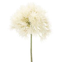 Article Allium artificiel, design délicat pour l'intérieur, 68 cm