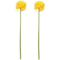Article Allium Fleur Jaune Oignon Artificiel 80cm Ø14,5cm 2pcs