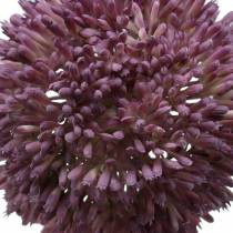 Allium ornemental artificiel violet Ø12cm 65cm